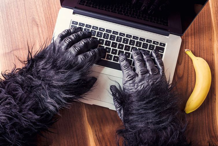 gorila-laptop